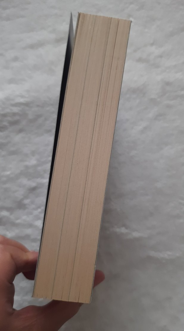 Jane Steele - Lyndsay Faye - Görsel 3