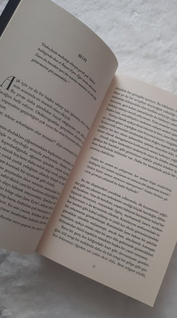 Jane Steele - Lyndsay Faye - Görsel 4