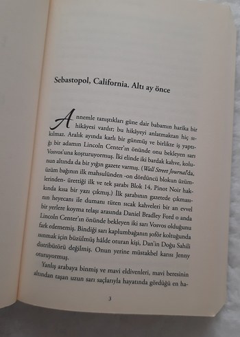 Sekiz Yüz Üzüm - Laura Dave - Görsel 4