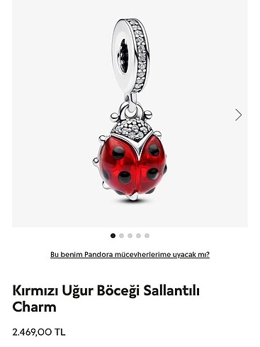 Pandora Pandora Sallantılı Charm