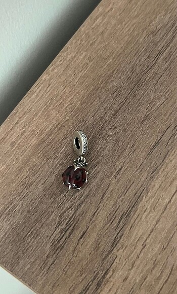 Pandora Sallantılı Charm