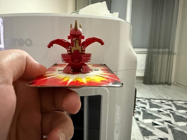Pyrus maxus dragonoid