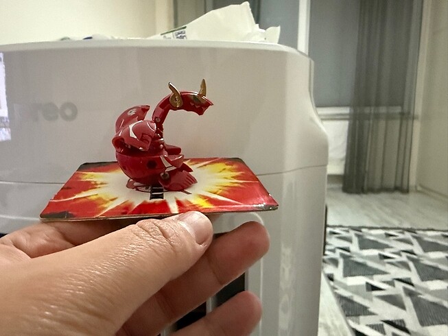  Pyrus maxus dragonoid