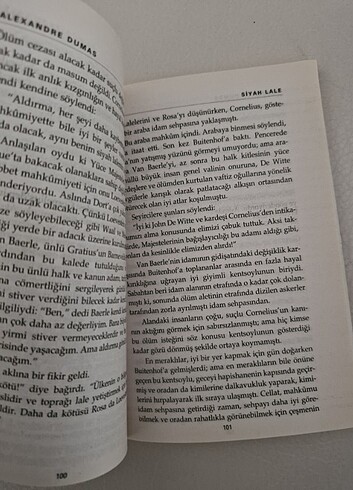  Beden Siyah lale