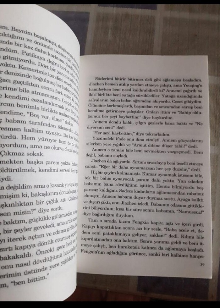 yaşamak kitap - Görsel 2