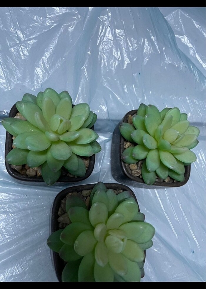 Dekoratif üçlü obje - Görsel 3