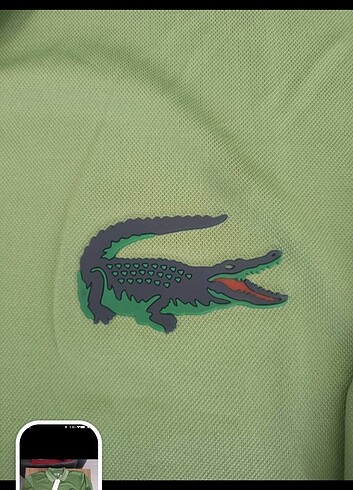2xl Beden Lacoste T-shirt
