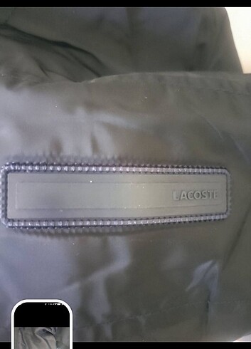 Lacoste Lacoste Mevsimlik Mont 