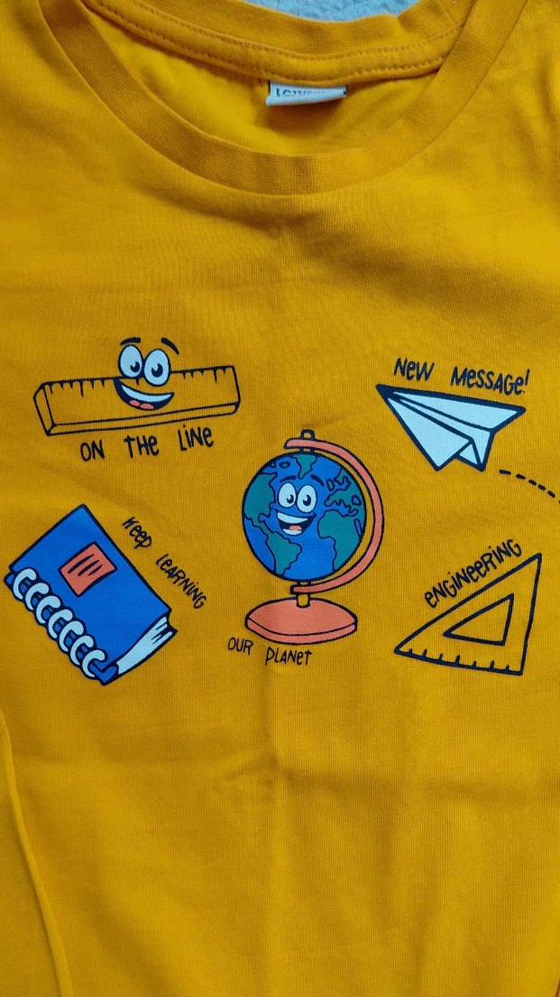 Sarı Baskılı Erkek Çocuk PenyeSweatshirt - Görsel 2