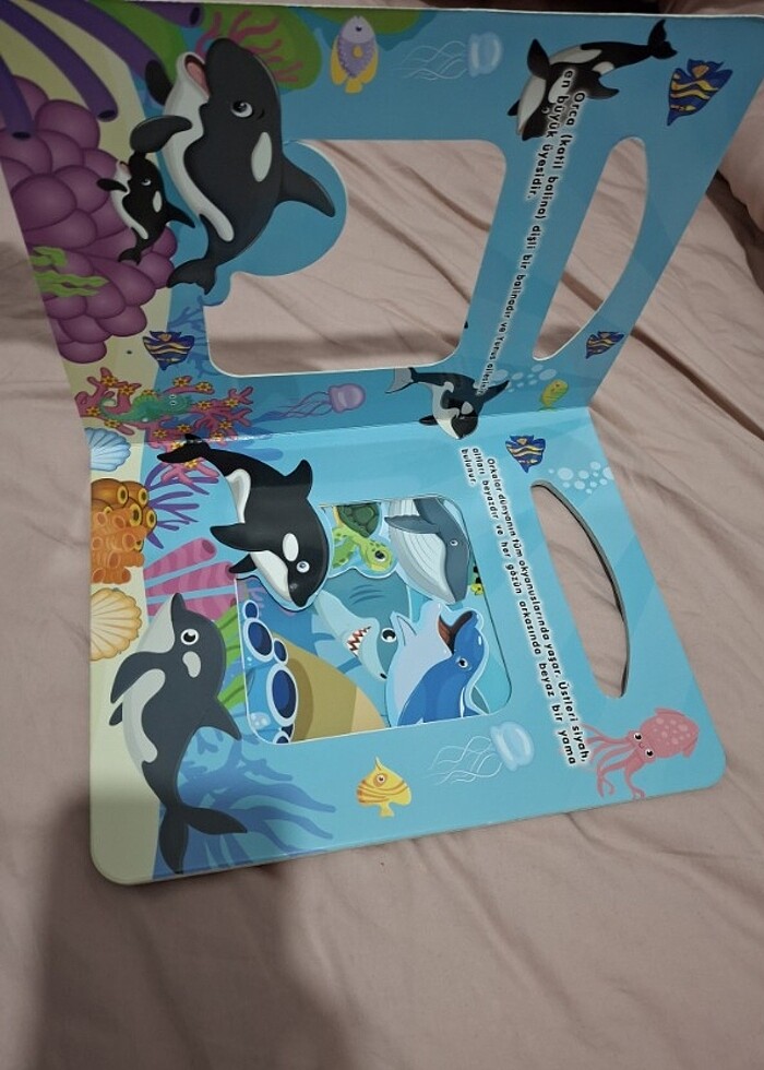 0 6 Yaş Yayınları Pencereli Kitap - Görsel 2