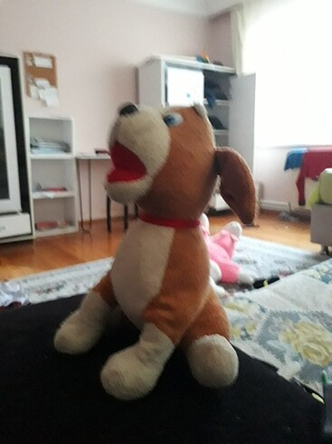 Diğer Sevimli köpek