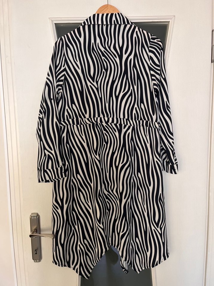 Renkli Zebra Desenli Kemerli Gömlek Elbise - Görsel 4