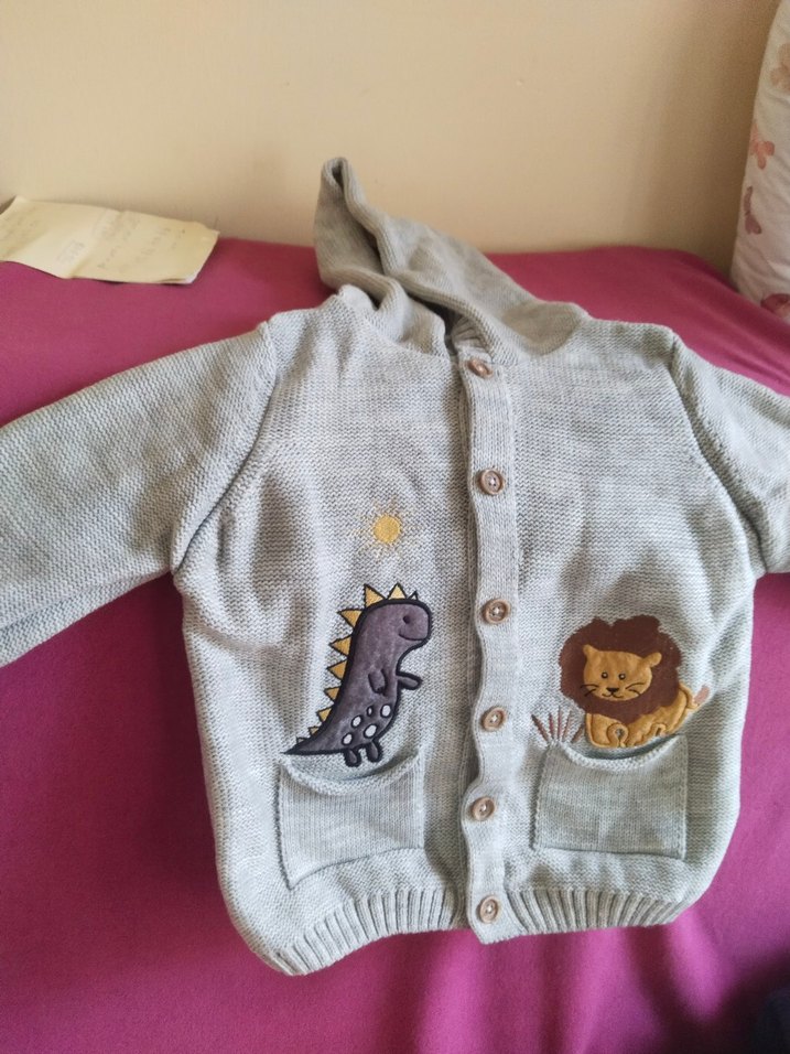 Gri Kapüşonlu Nakışlı Erkek Çocuk Hırka - Görsel 2