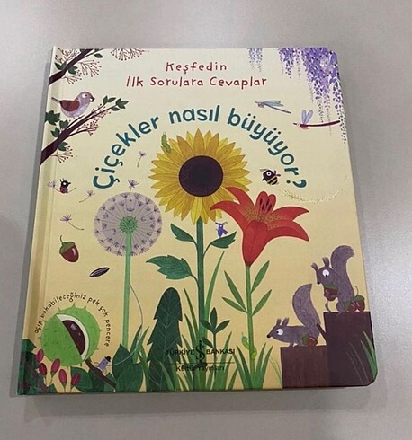 Çiçekler nasıl büyüyor