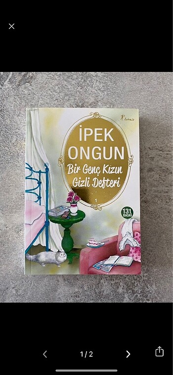 İpek Ongun Bir Genç Kızın Gizli Defteri 