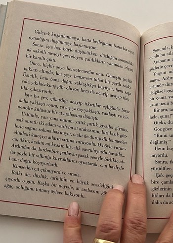 Ben Bir Gürgen Dalyım - Hasan Ali Toptaş - Görsel 3