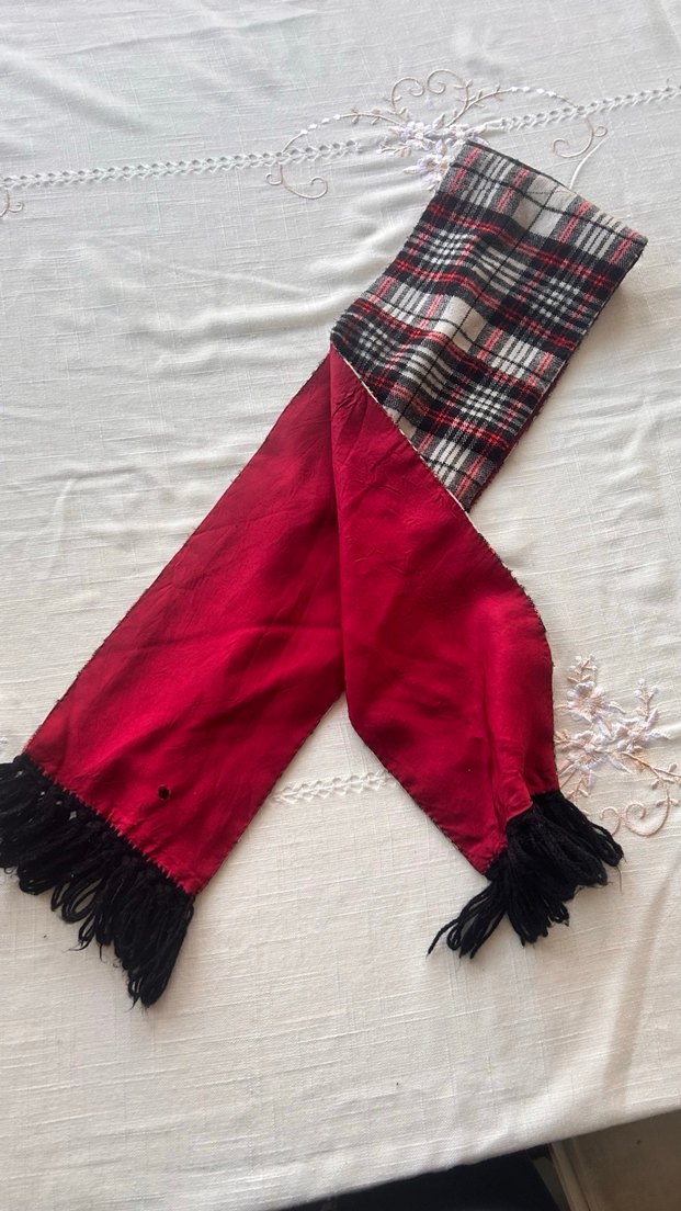 Kadın Çok Renkli Pileli Şal - Görsel 2