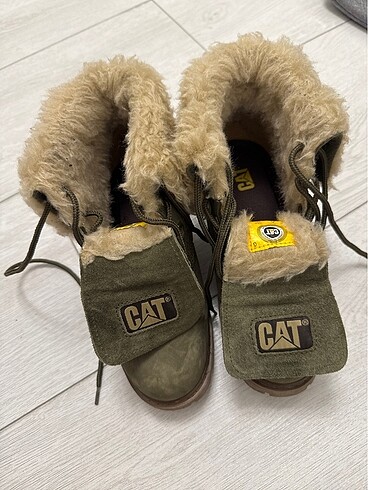 Cat Bot tüylü