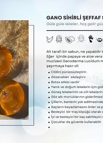  Beden GANODERMA ŞEFFAF SABUN