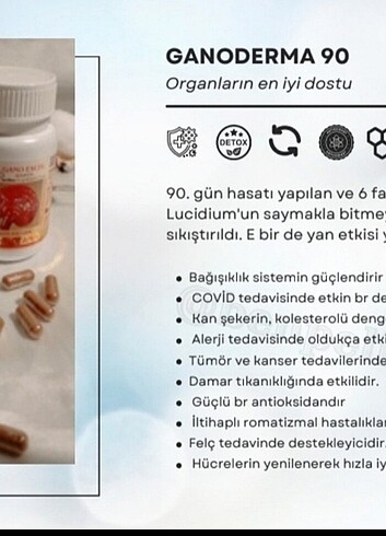 diğer Beden çeşitli Renk EXCELLIUM GANODERMA TAKVIYE GIDA