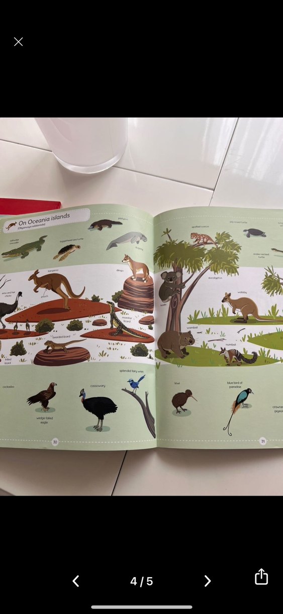 Larousse İngilizce İlk 1000 Hayvan Kitabı - Görsel 3