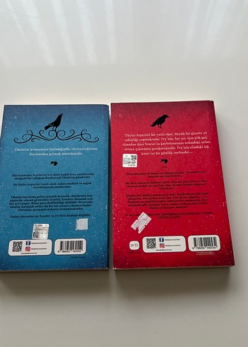 Scarlet ve Ivy Roman Seti - 2 Kitap - Görsel 2
