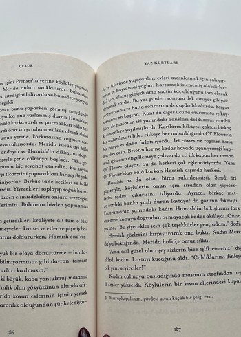 Hikaye kitabı - Görsel 2