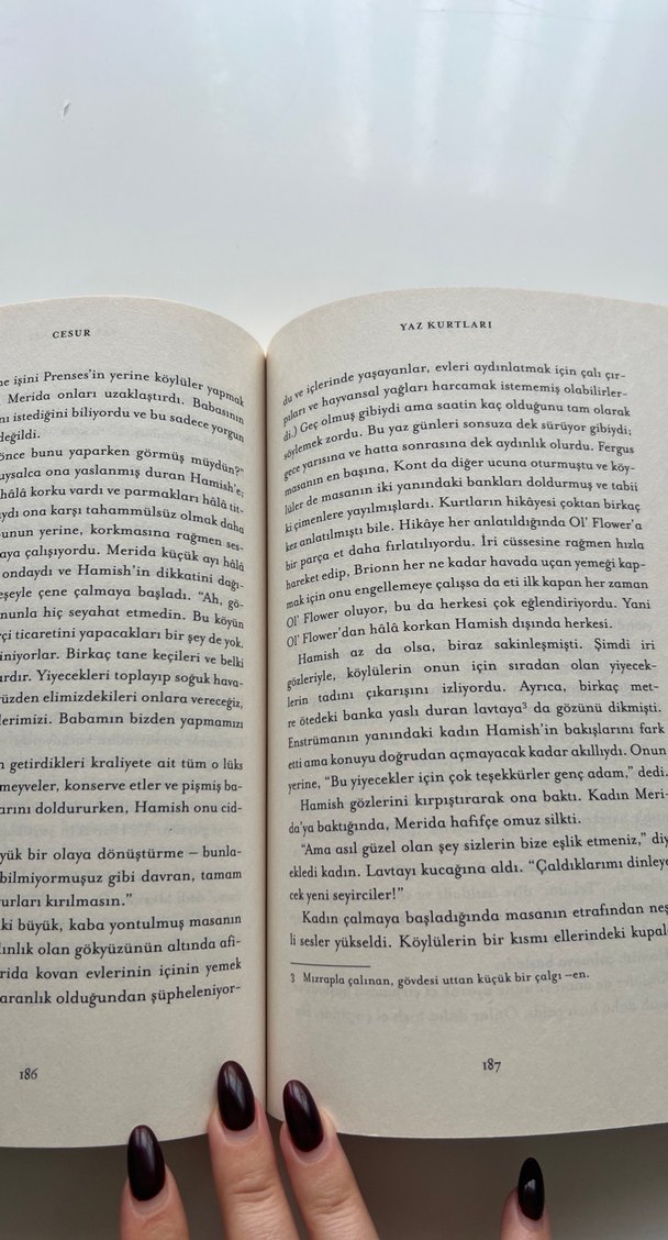 Hikaye kitabı - Görsel 2