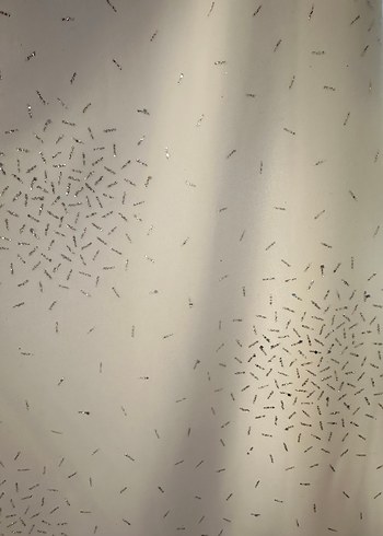 Krem Sim Detaylı Midi Abiye Elbise - Görsel 5