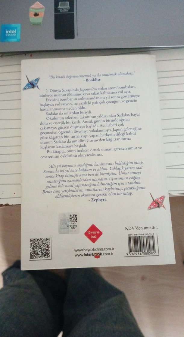 Sadako ve Kağıttan Bin Turna Kuşu - Eleanor Coerr - Görsel 2