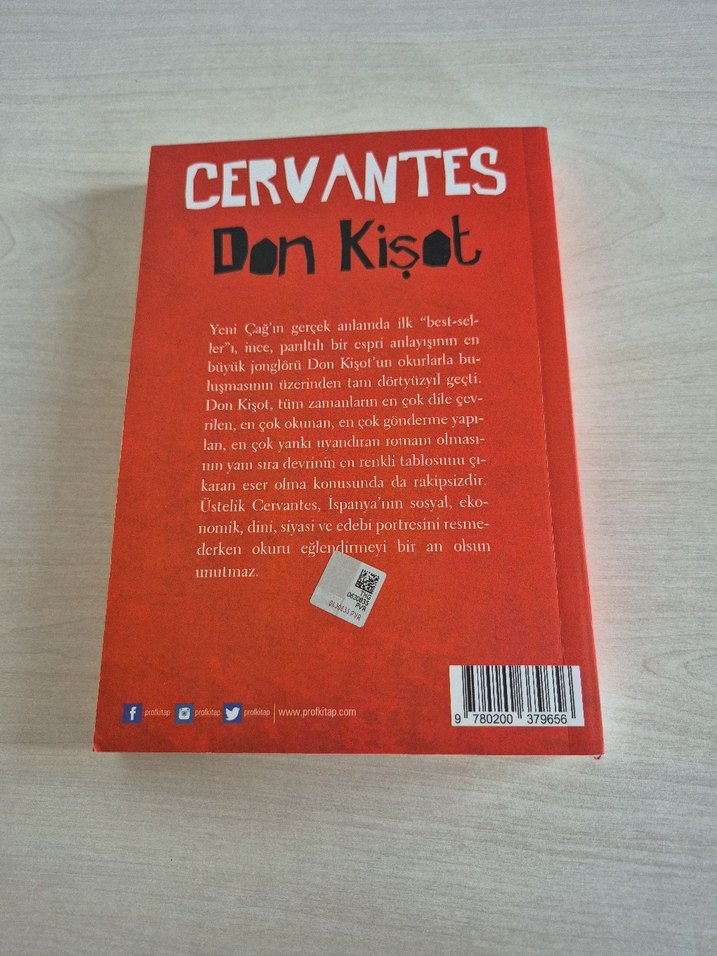 Cervantes - Don Kişot Romanı - Görsel 2