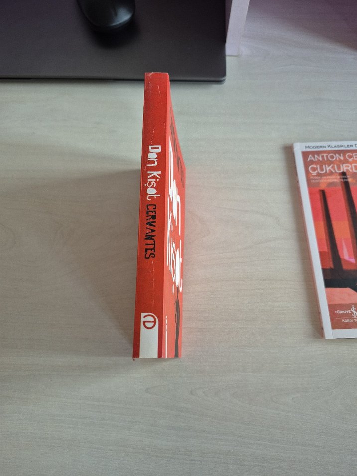 Cervantes - Don Kişot Romanı - Görsel 4