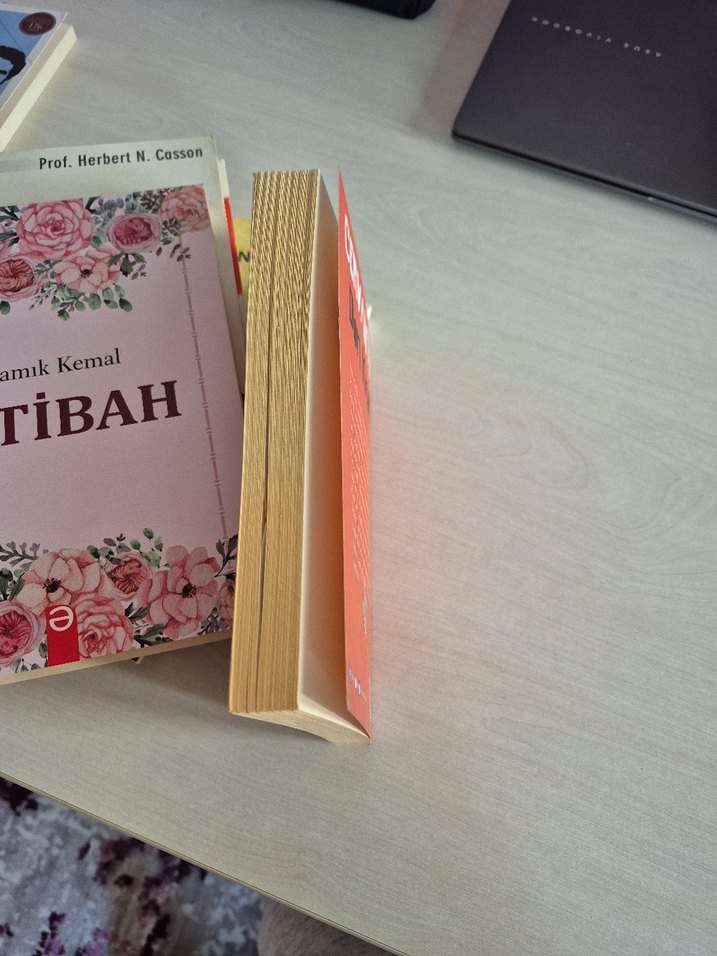 Cervantes - Don Kişot Romanı - Görsel 3