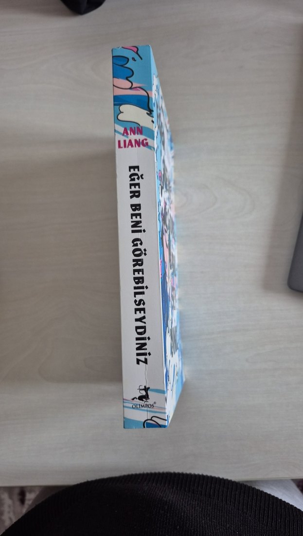 Eğer Beni Görebilseydiniz - Ann Liang - Görsel 2