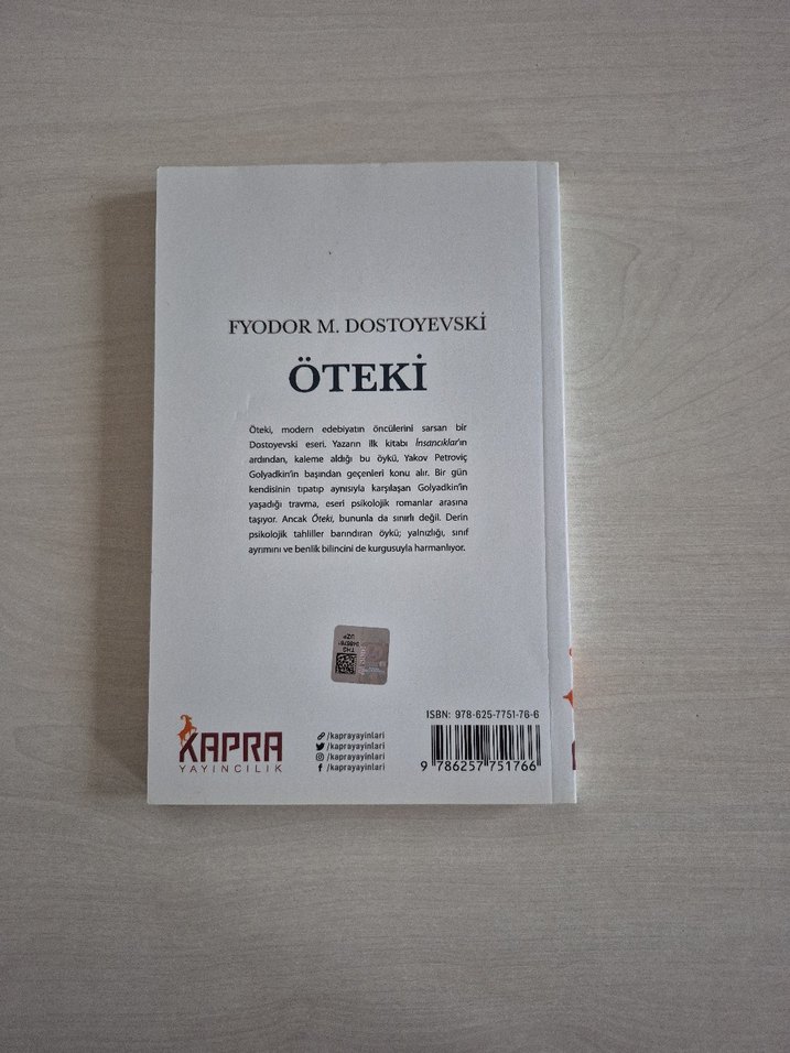 Fyodor M. Dostoyevski - Öteki Roman - Görsel 2