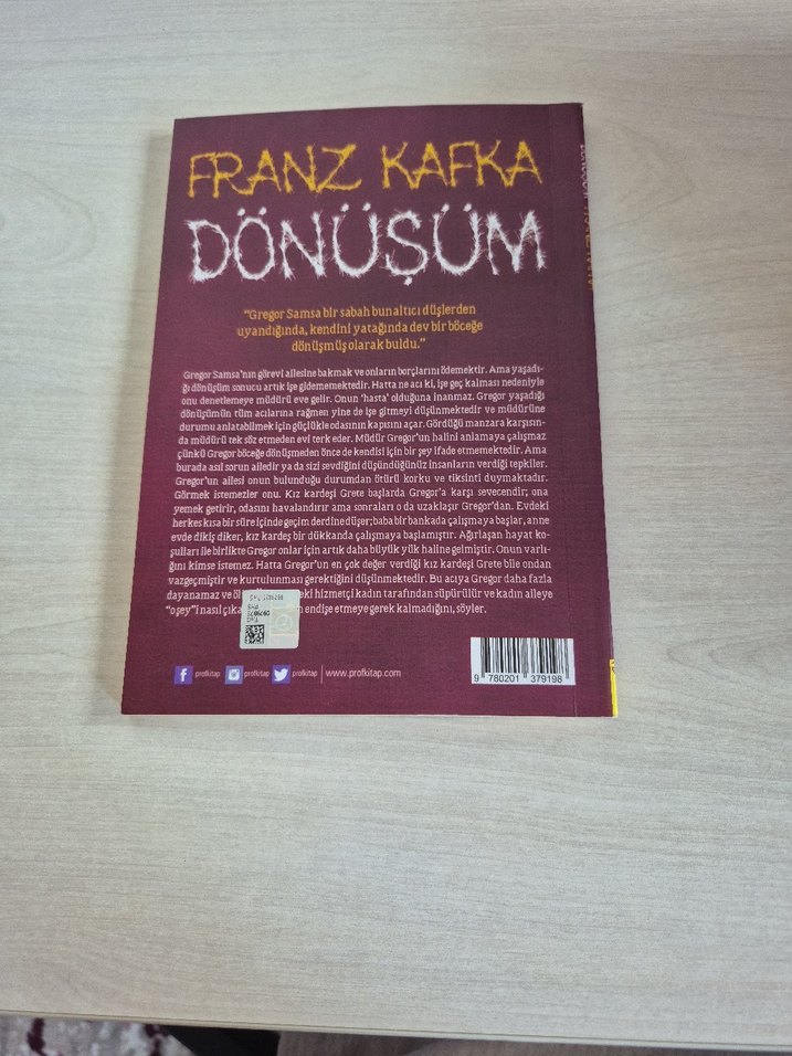 Franz Kafka - Dönüşüm Romanı - Görsel 2