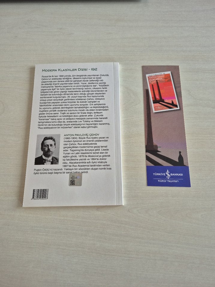 Anton Çehov - Çukurda Roman - Görsel 2