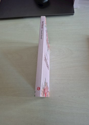 İntibah - Namık Kemal - Görsel 3