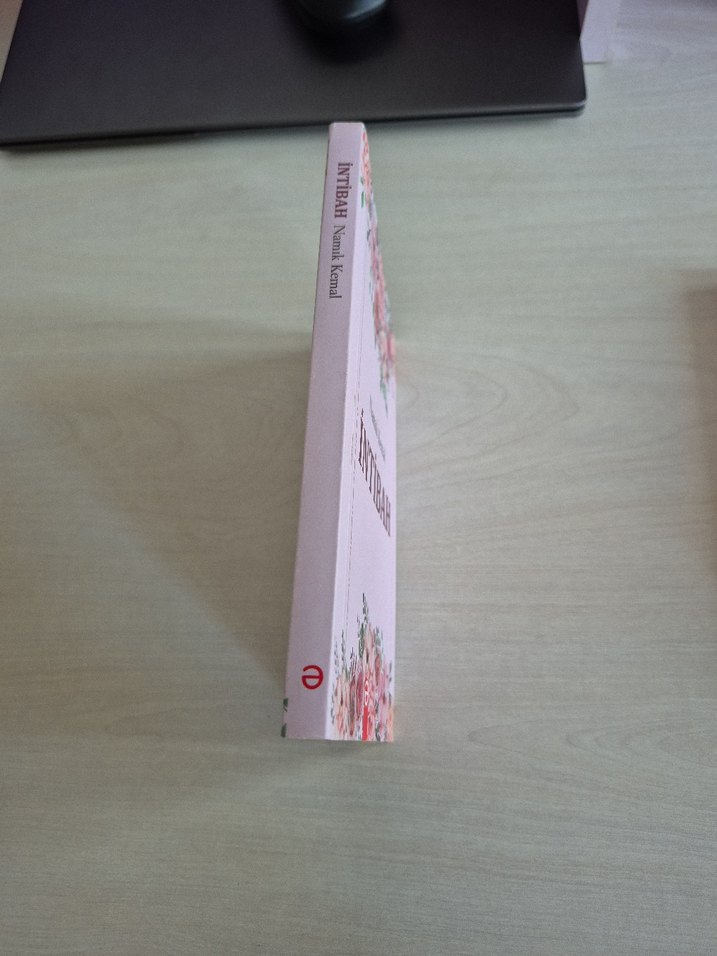 İntibah - Namık Kemal - Görsel 3