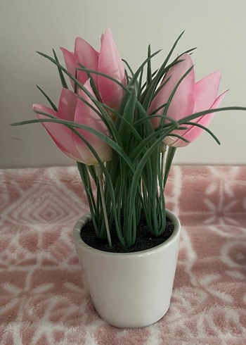 Çilek yiyen Tavşan Temalı Tablo lale hediye - Görsel 2