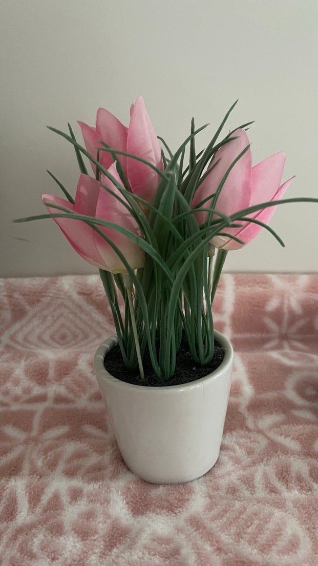 Çilek yiyen Tavşan Temalı Tablo lale hediye - Görsel 2