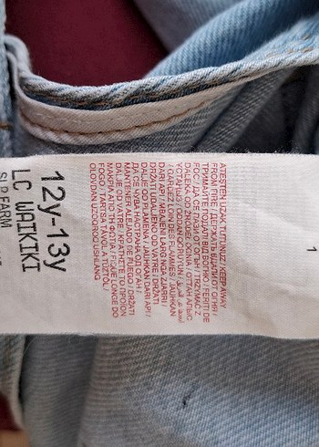 12-13 Yaş Beden mavi Renk Lcwaikiki Nakışlı Mavi Kız Kot Tulum/salopet