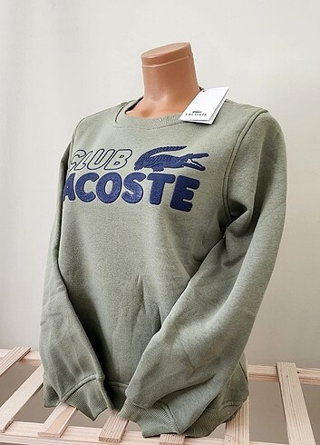 Lacoste Kadın Sweatshirt 