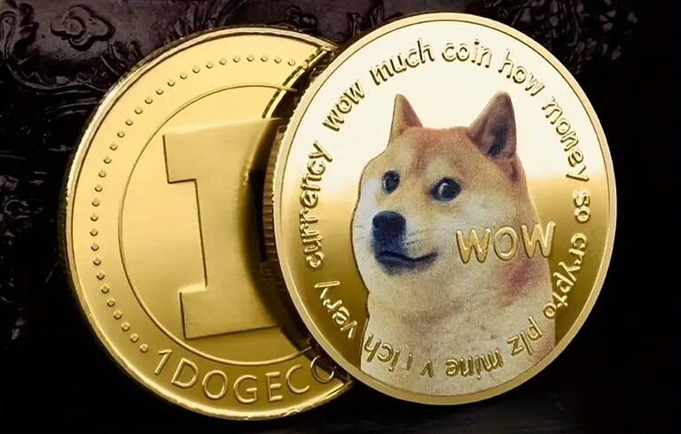 Doge coin Hatıra Parası