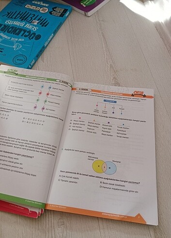  5 sınıf test kitabı 