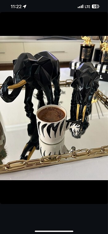 Zebra fincan