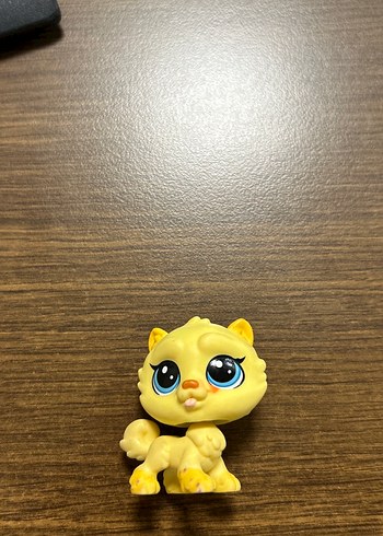 Beden Miniş büyük boy sarı kedi