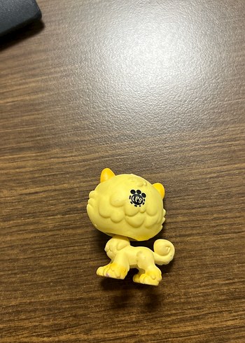 Beden Renk Miniş büyük boy sarı kedi