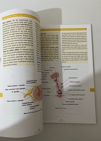  Sağlık Bilimleri İçin Temel Anatomi Kitabı