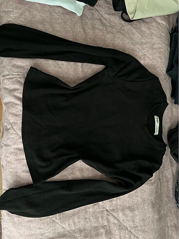Uzun Kollu Crop